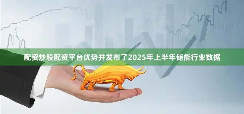 配资炒股配资平台优势并发布了2025年上半年储能行业数据